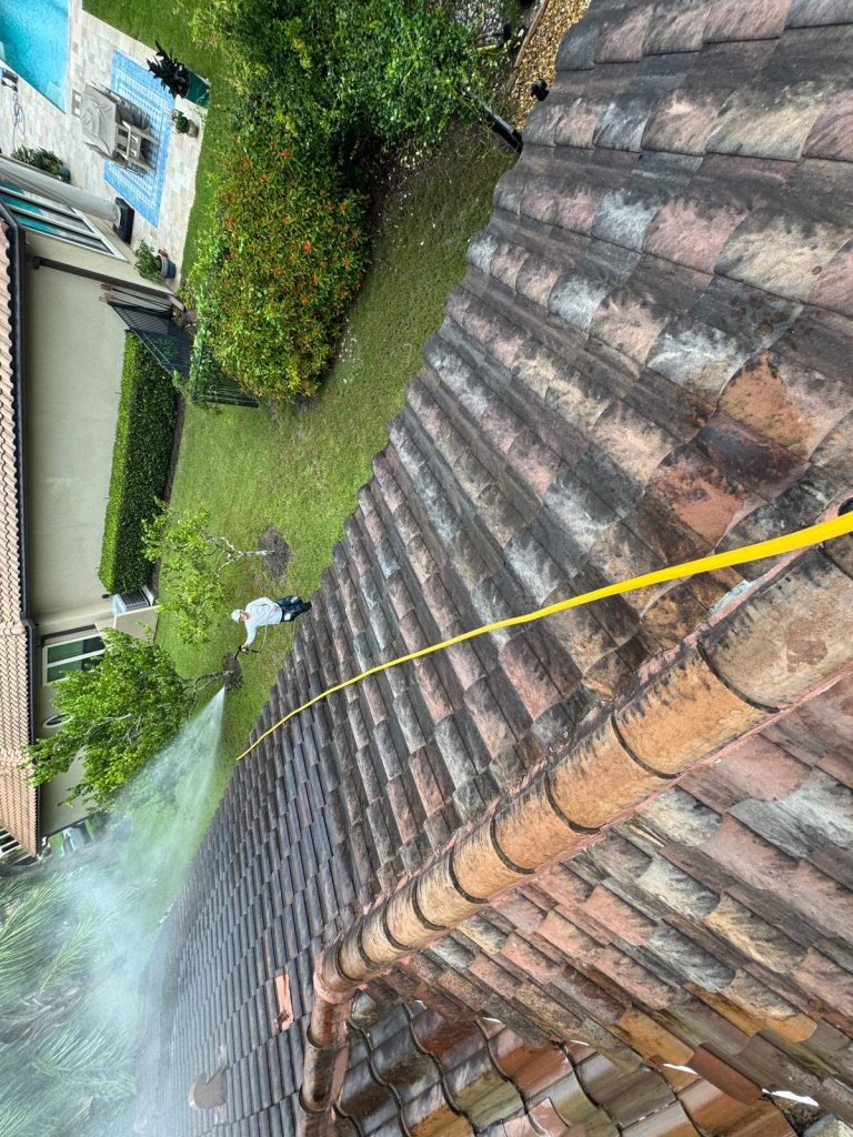 Tile Roof cleaning